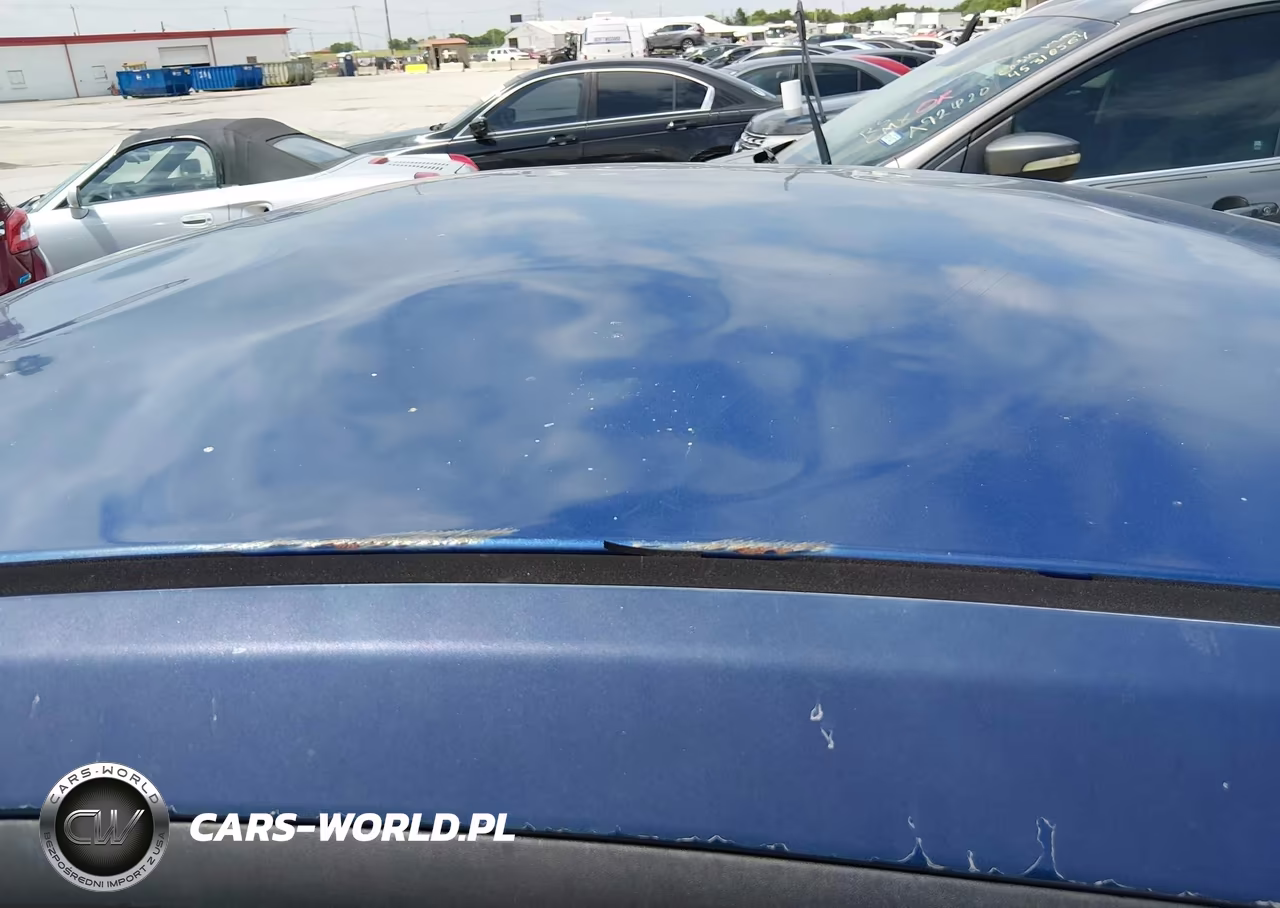 2009 Ford Mustang V6-V6 Premium VIN:1ZVHT80N595124086 - 12