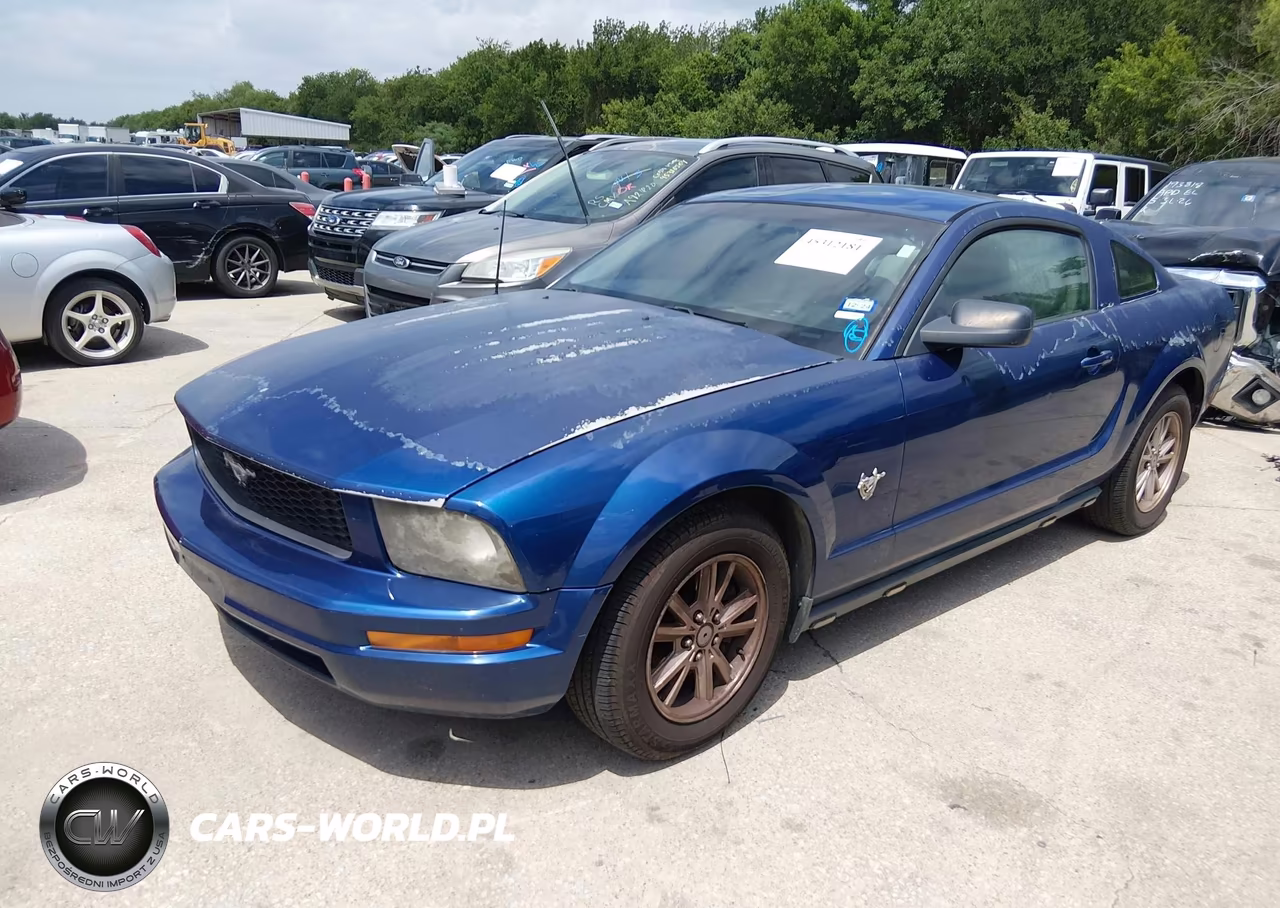 2009 Ford Mustang V6-V6 Premium VIN:1ZVHT80N595124086 - 2