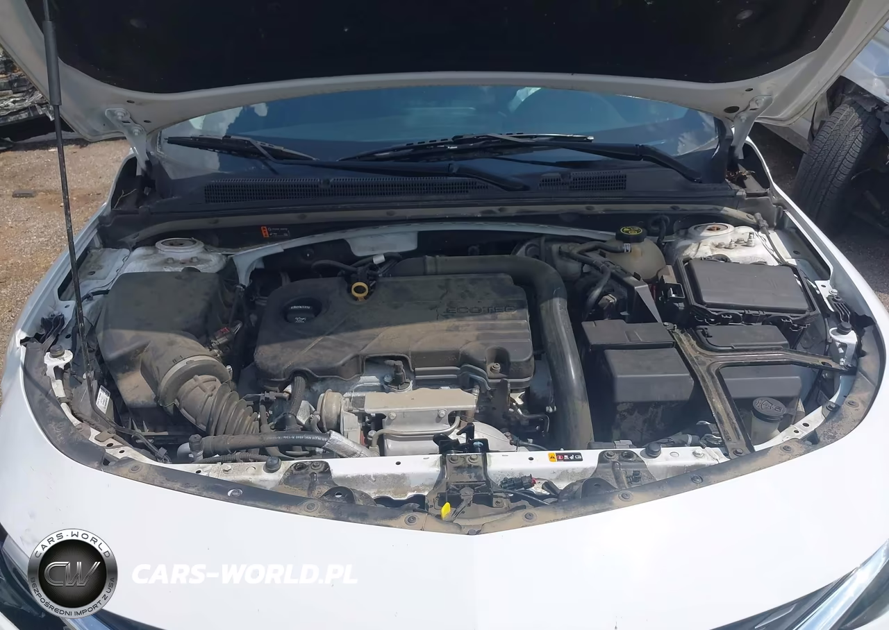 2019 Chevrolet Malibu Lt VIN:1G1ZD5ST2KF178372 - 10
