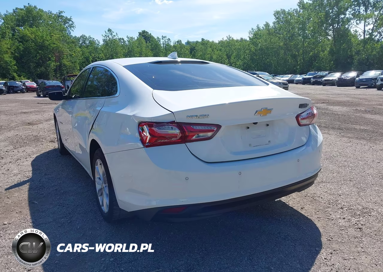 2019 Chevrolet Malibu Lt VIN:1G1ZD5ST2KF178372 - 3