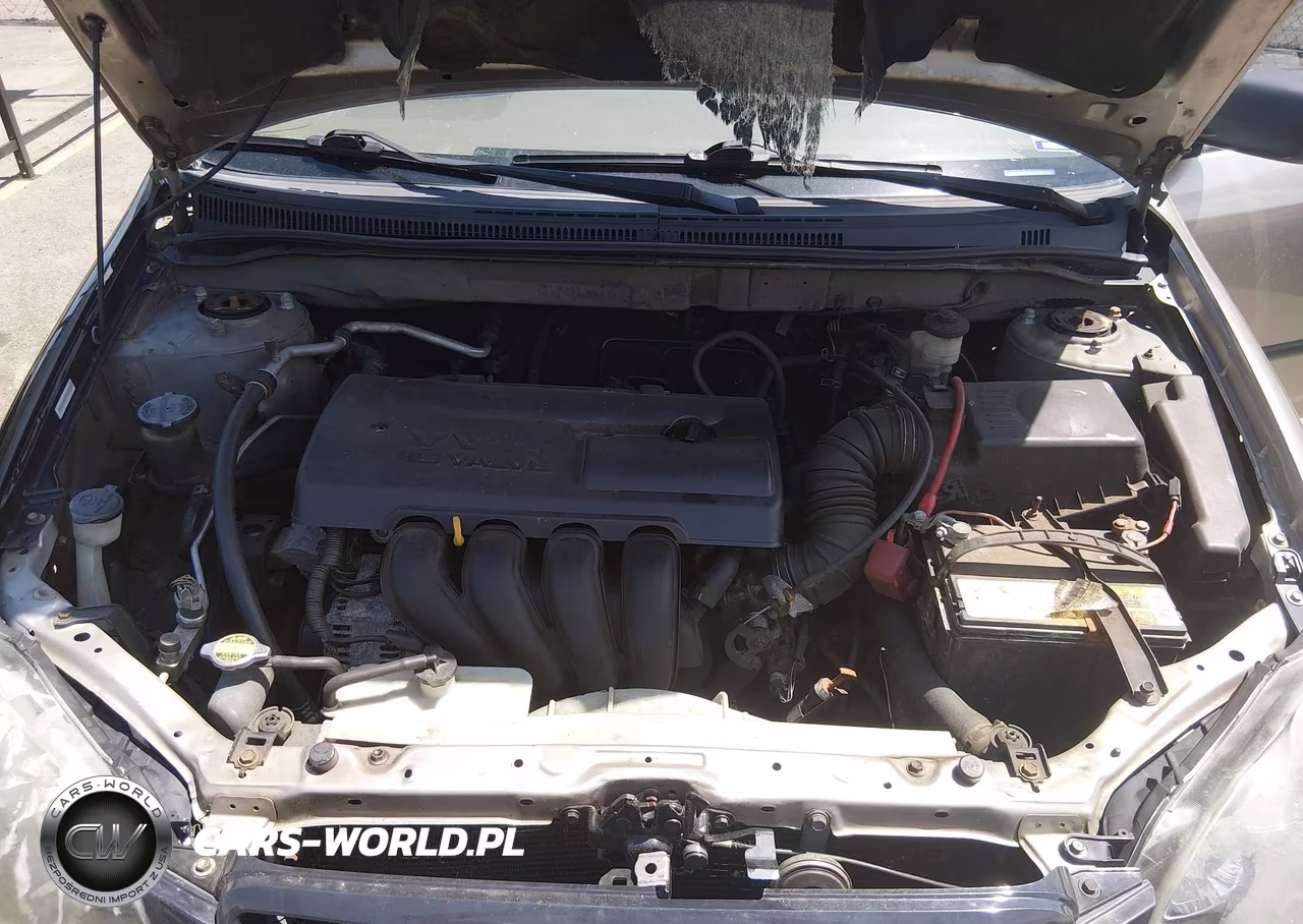 2003 Toyota Corolla Ce VIN:2T1BR32E33C032783 - 10