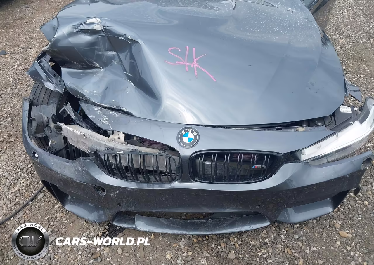 2016 BMW M4 VIN:WBS3R9C57GK339098 - 10