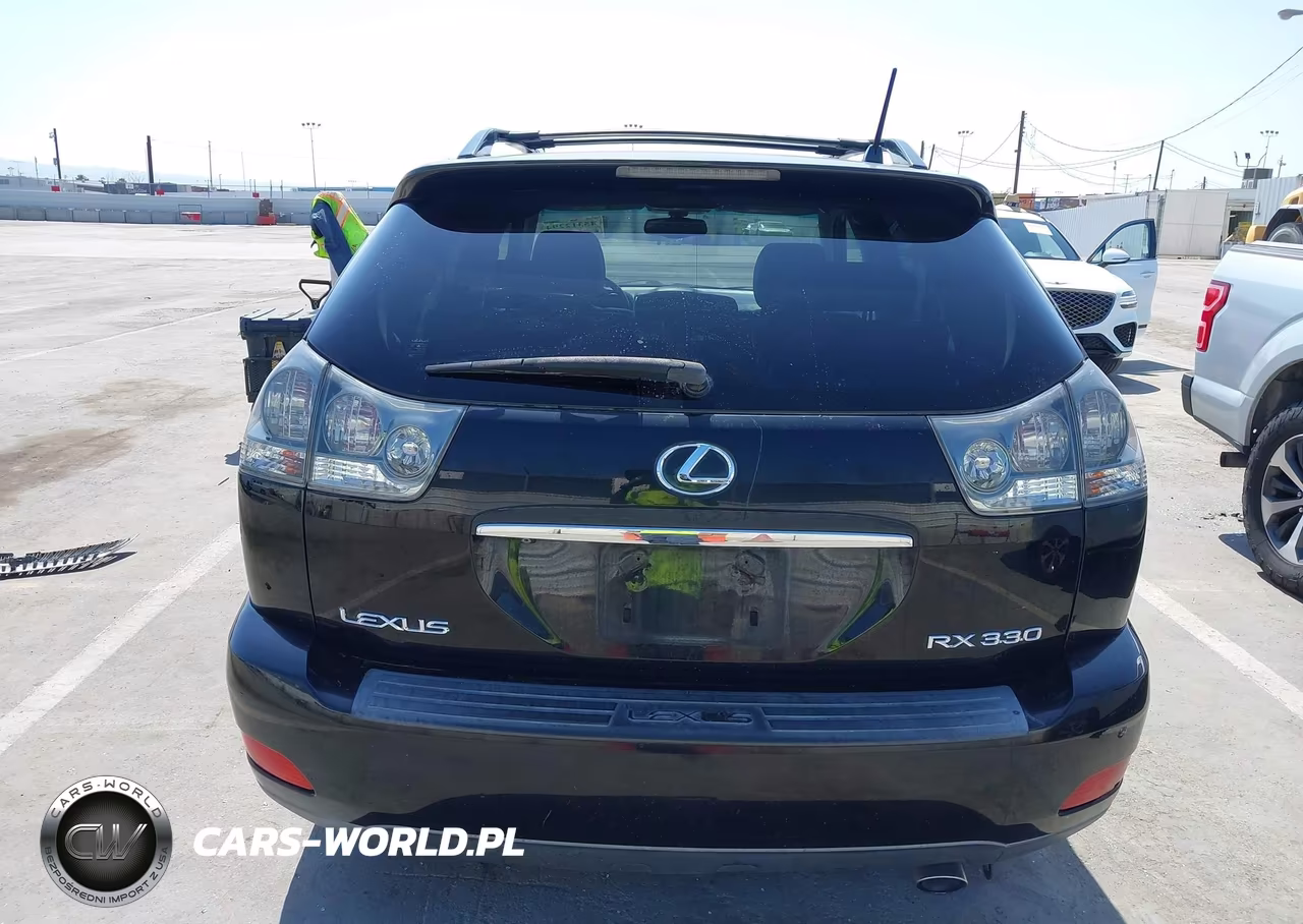 2004 Lexus Rx 330 VIN:JTJHA31U940065421 - 16