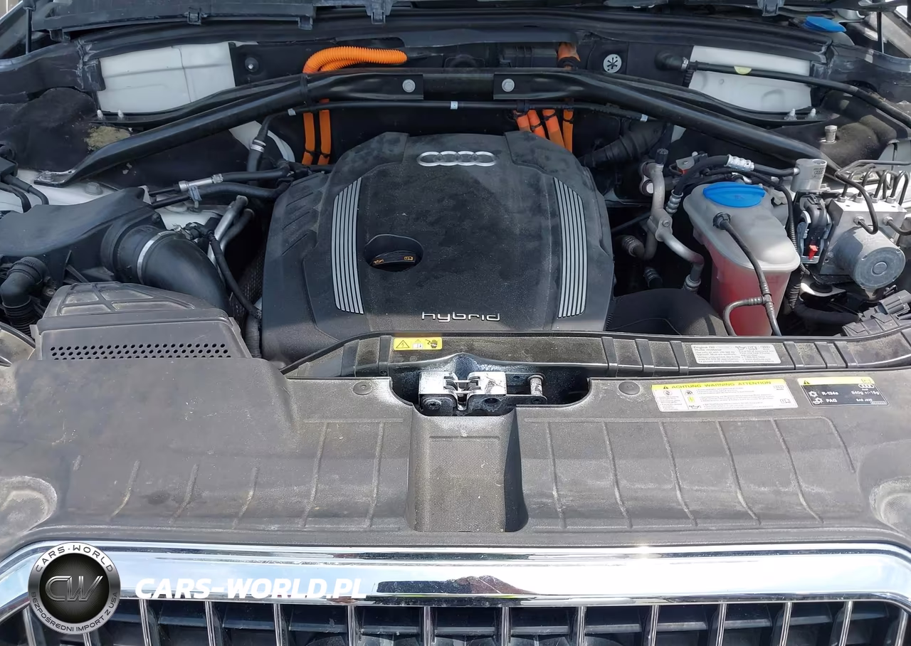 2013 Audi Q5 Premium Hybrid VIN:WA1C8AFP3DA041071 - 10