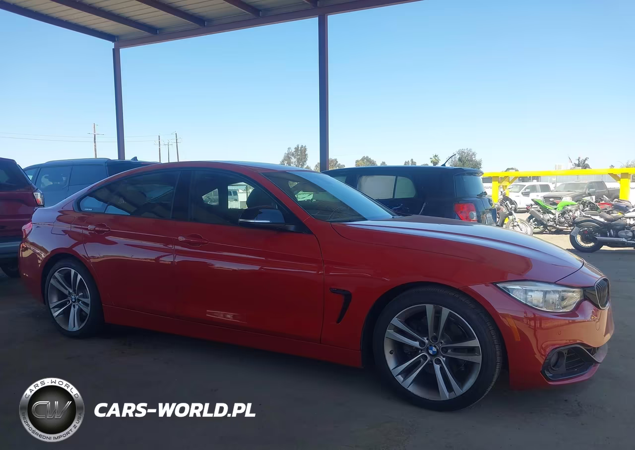 2015 BMW 428 Gran Coupe VIN:WBA4A9C55FGL86096 - 13