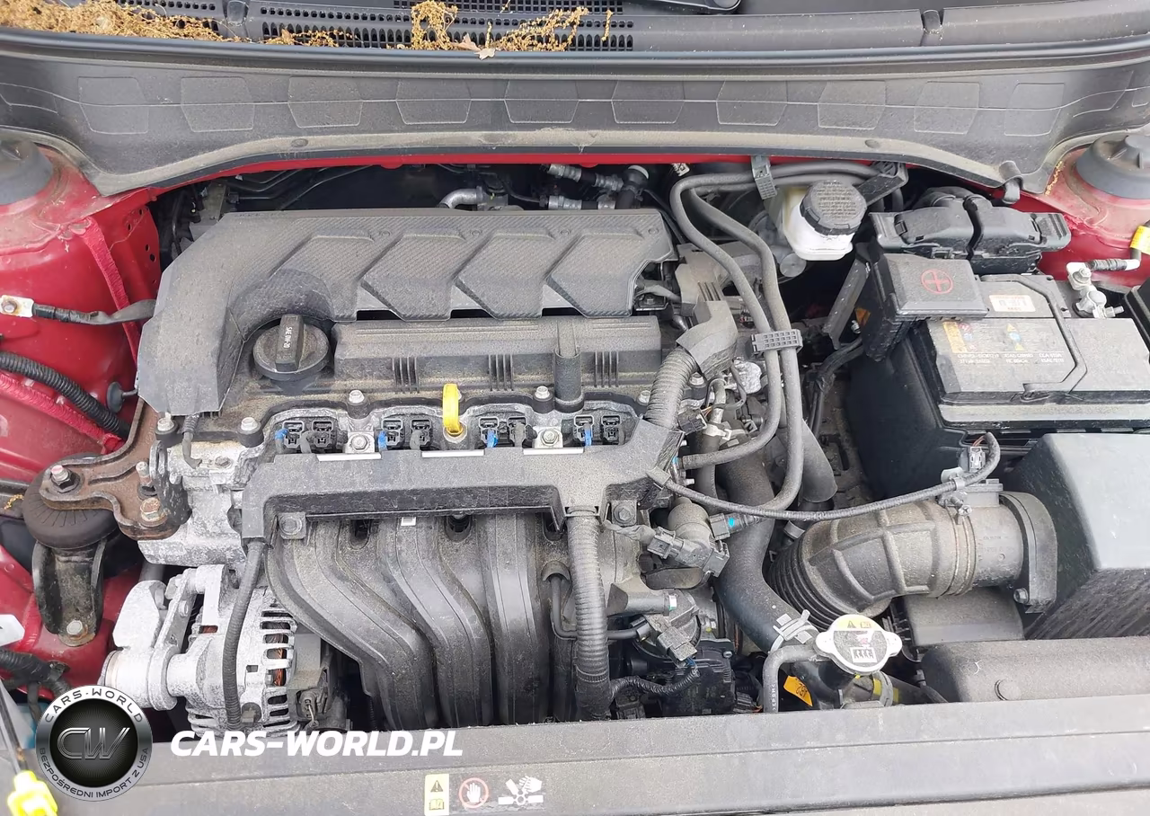 2024 Hyundai Venue Limited VIN:KMHRC8A37RU295041 - 10