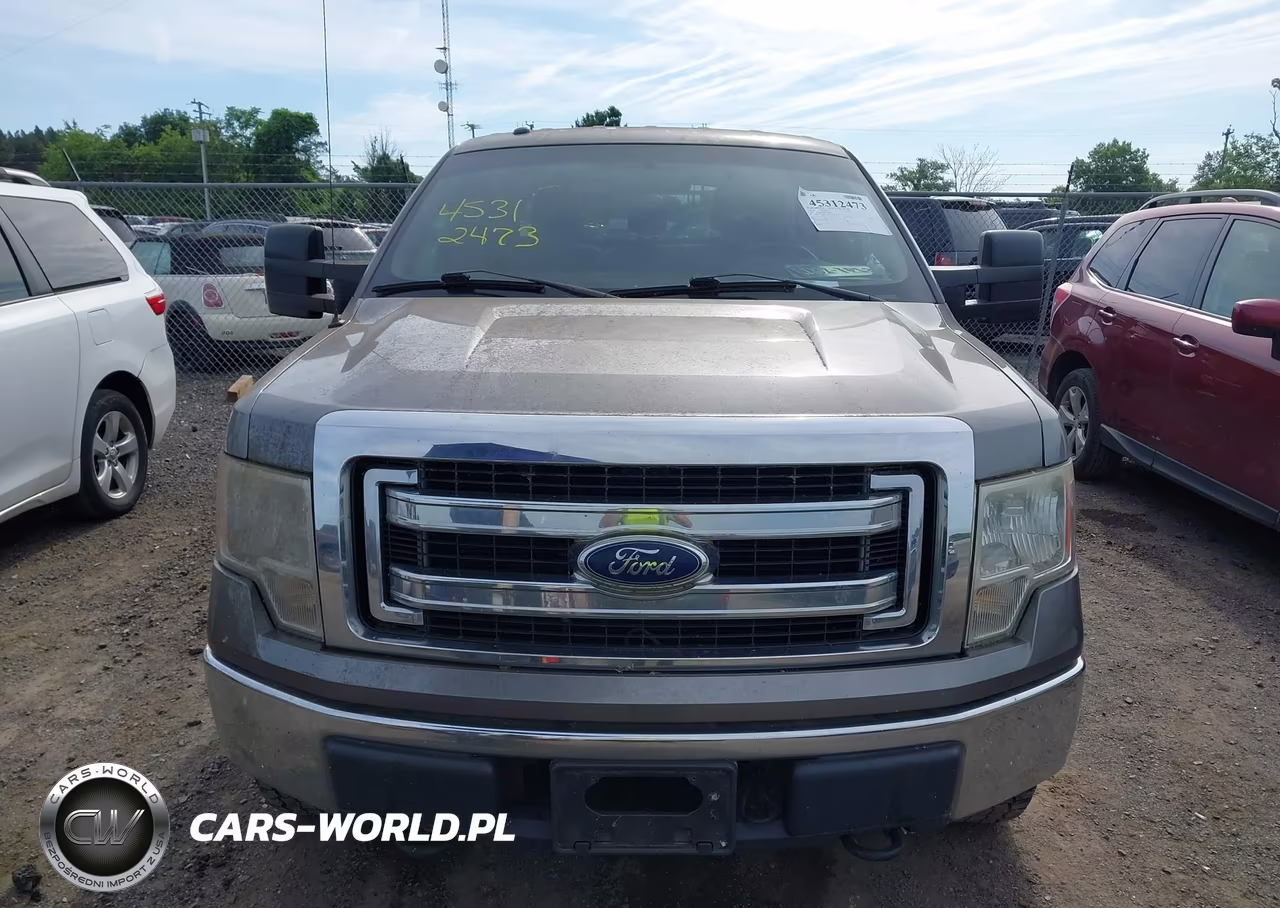 2013 Ford F-150 Xlt VIN:1FTFW1EF4DFA96987 - 13