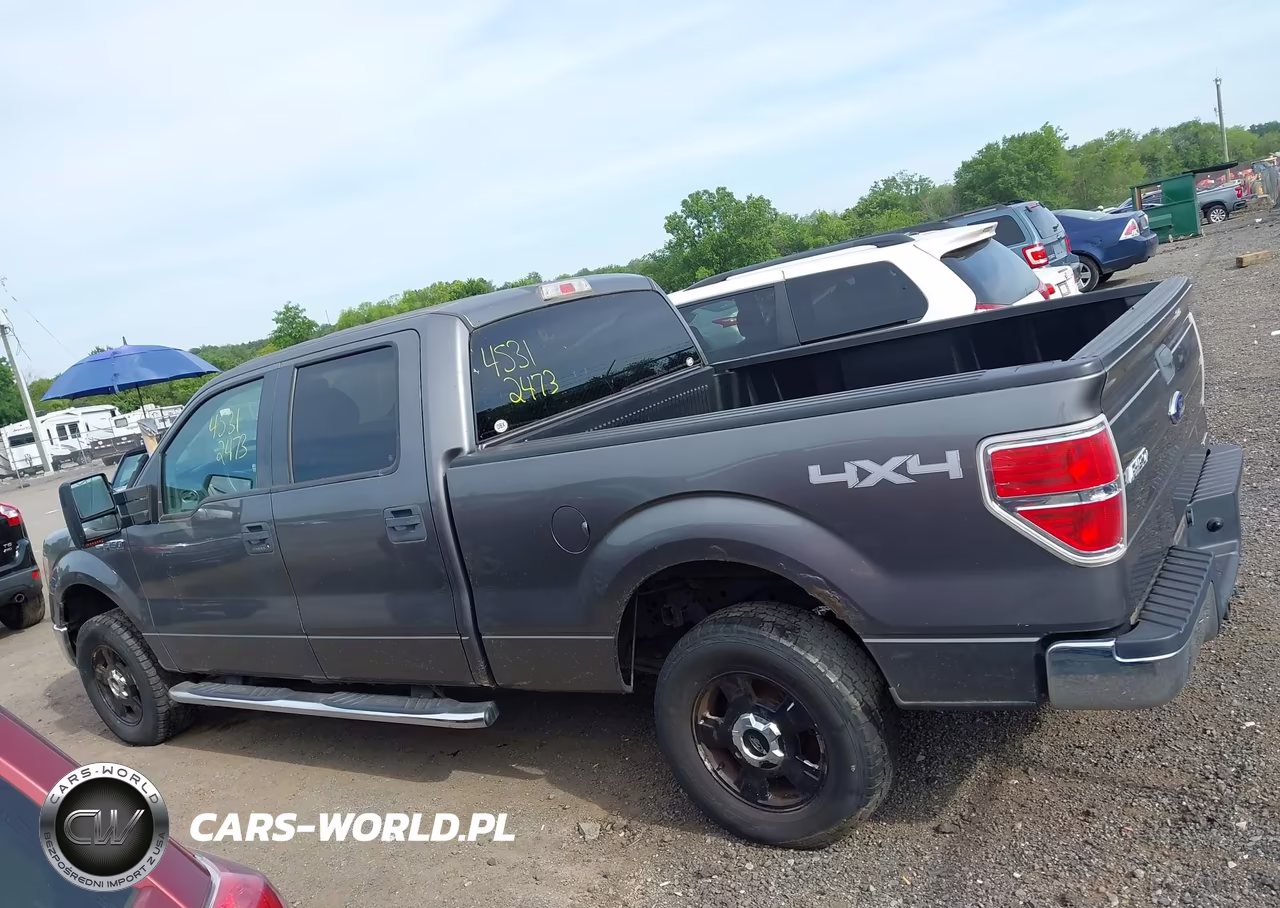 2013 Ford F-150 Xlt VIN:1FTFW1EF4DFA96987 - 15