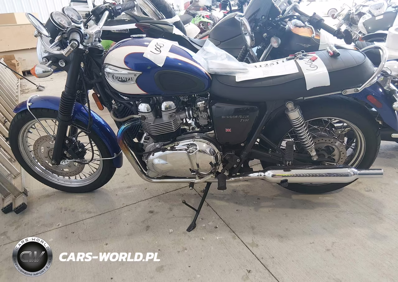 2003 Triumph Motorcycle T100 Bonneville VIN:SMT910HN63J180895 - 13