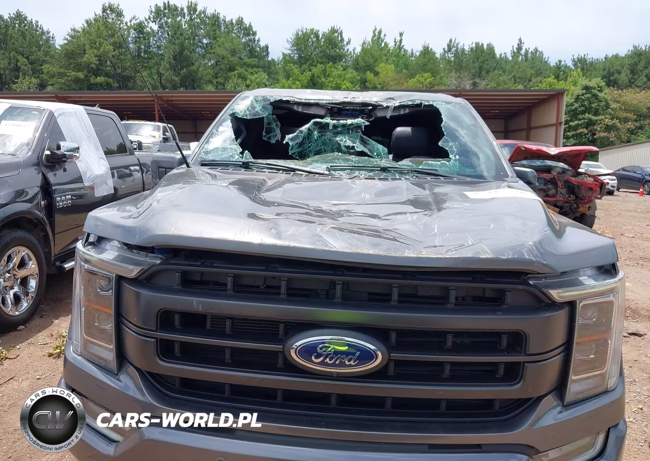 2023 Ford F-150 Lariat VIN:1FTFW1E8XPKE69169 - 6
