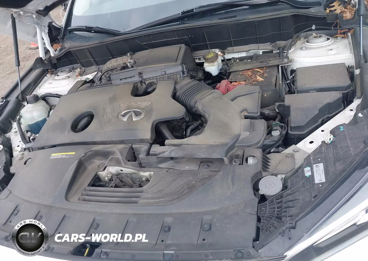 2019 Infiniti Qx50 Essential VIN:3PCAJ5M33KF130989 - 10