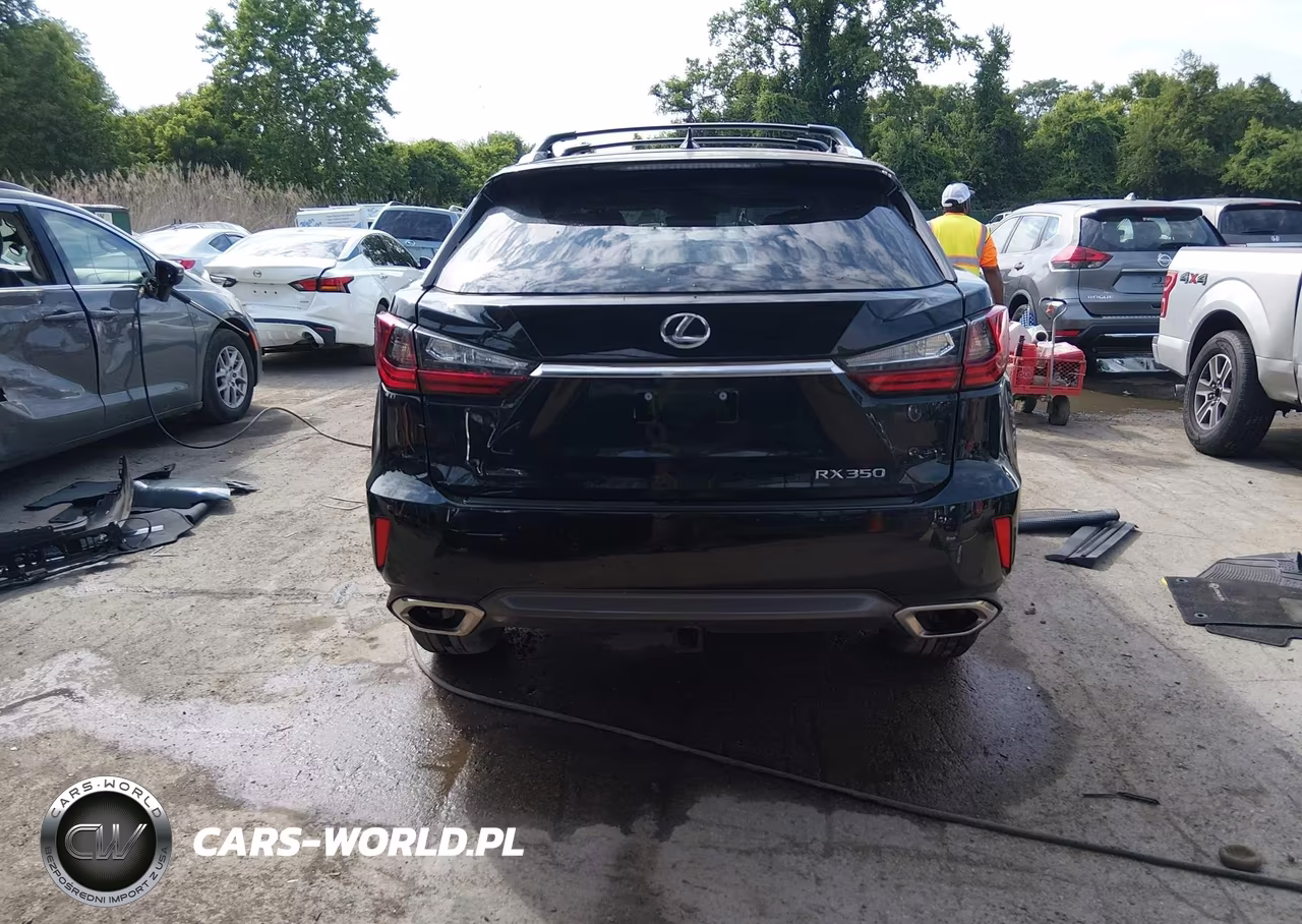 2018 Lexus Rx 350-Base-F Sport VIN:2T2BZMCA3JC160662 - 16