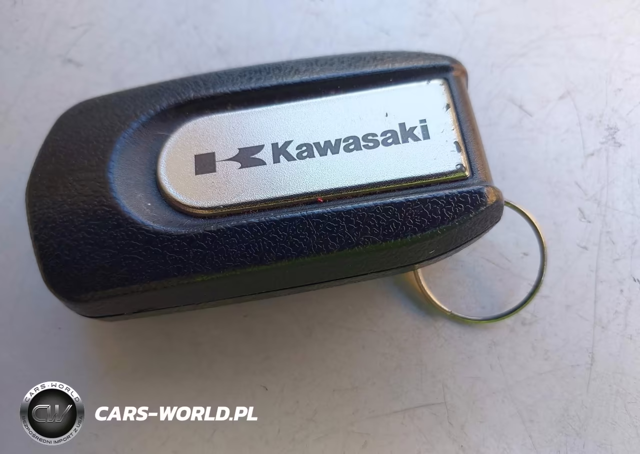 2016 Kawasaki Zg1400 E VIN:JKBZGNE10GA004318 - 11