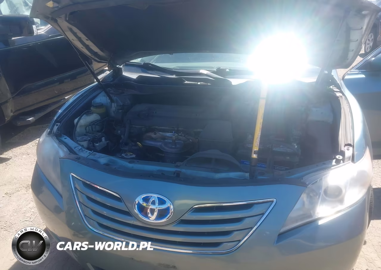 2009 Toyota Camry Xle VIN:4T1BE46K19U873493 - 10