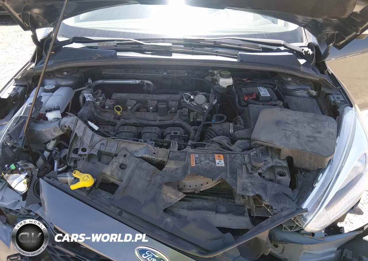 2017 Ford Focus Se VIN:1FADP3K24HL239547 - 10