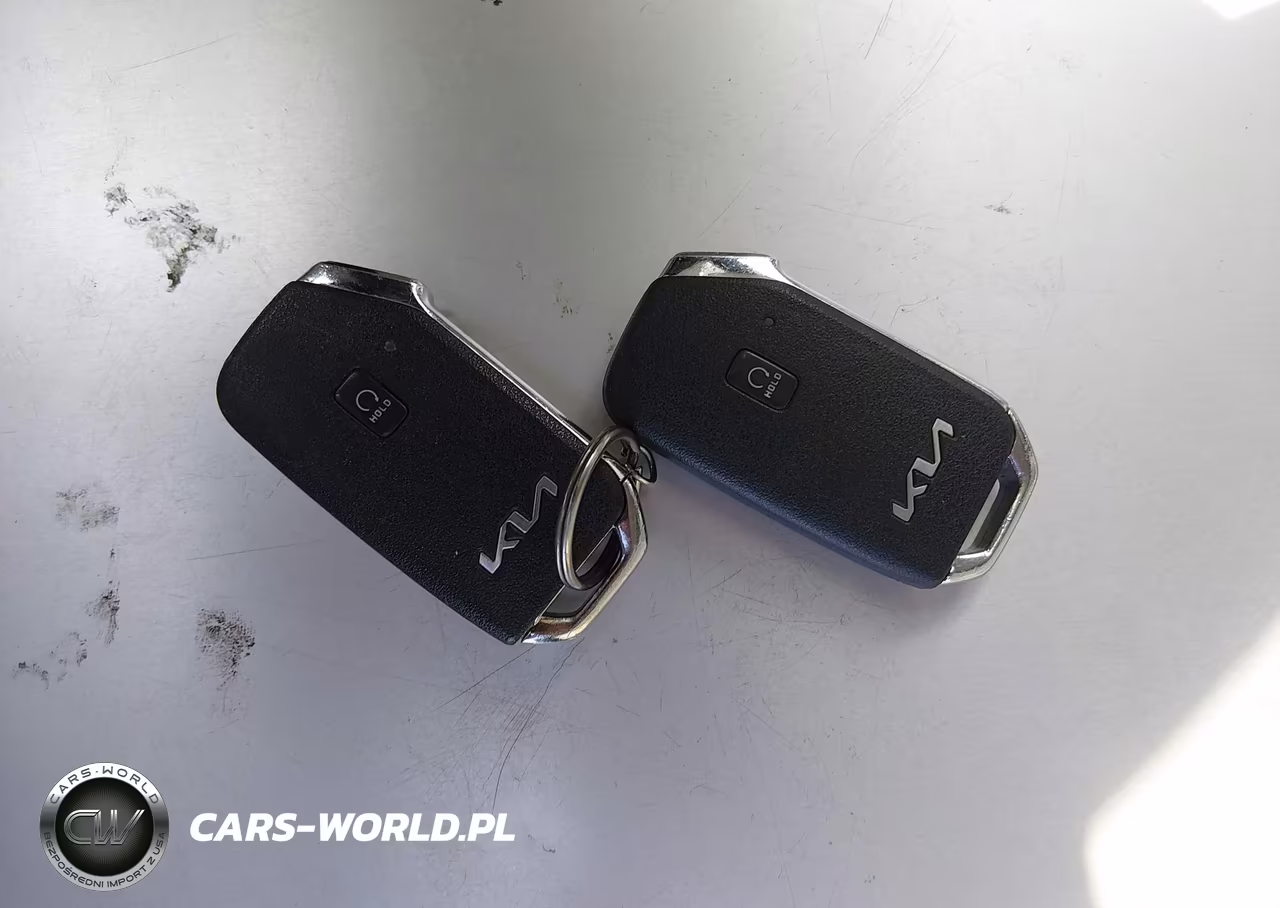 2022 Kia Telluride Sx VIN:5XYP5DHC4NG228025 - 11