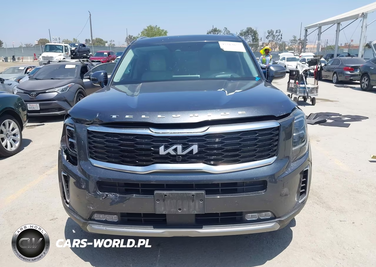 2022 Kia Telluride Sx VIN:5XYP5DHC4NG228025 - 12
