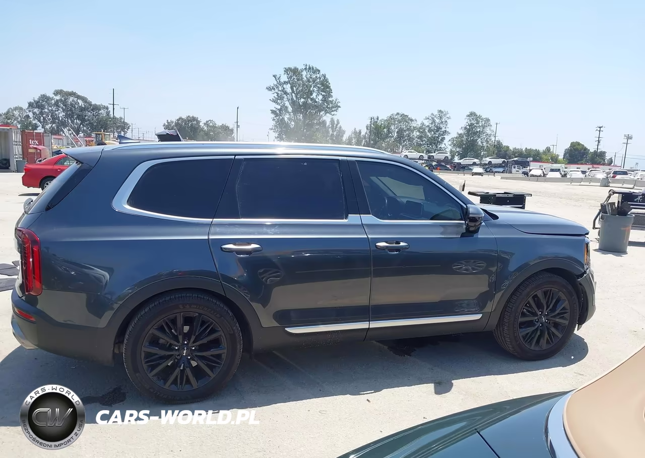 2022 Kia Telluride Sx VIN:5XYP5DHC4NG228025 - 13