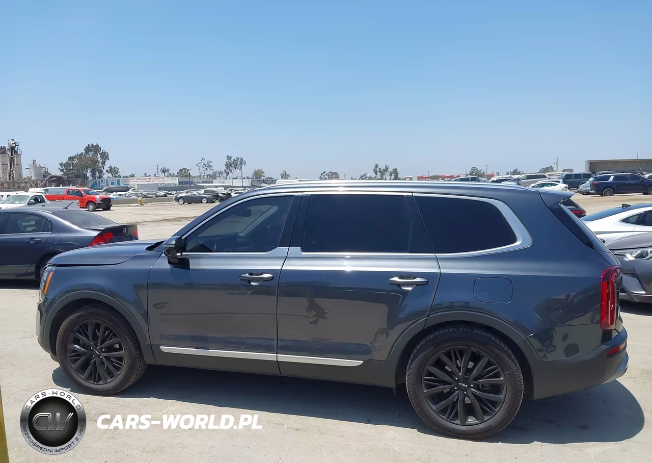 2022 Kia Telluride Sx VIN:5XYP5DHC4NG228025 - 14
