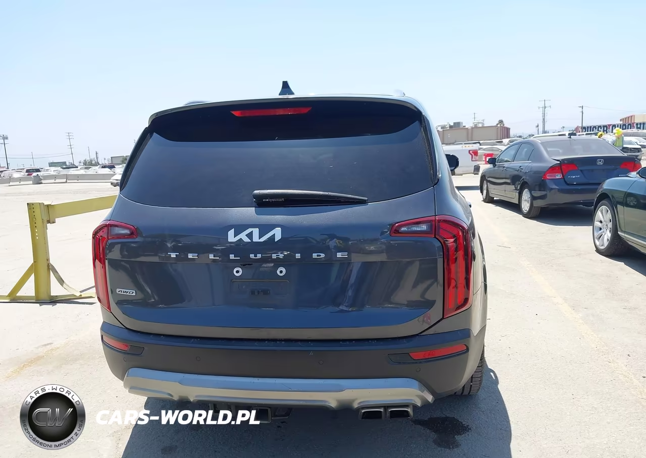 2022 Kia Telluride Sx VIN:5XYP5DHC4NG228025 - 16