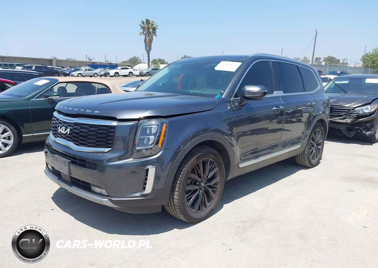 2022 Kia Telluride Sx VIN:5XYP5DHC4NG228025 - 2