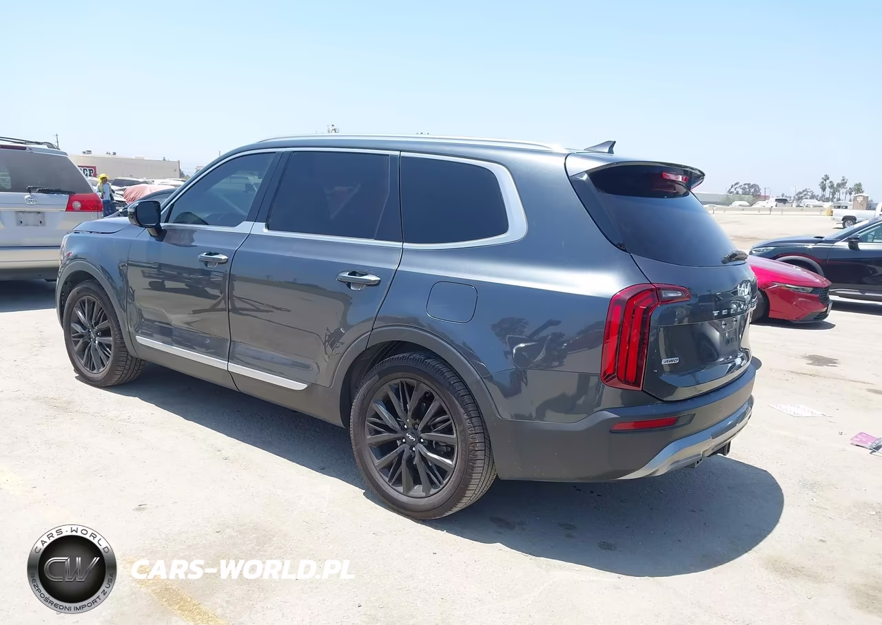 2022 Kia Telluride Sx VIN:5XYP5DHC4NG228025 - 3