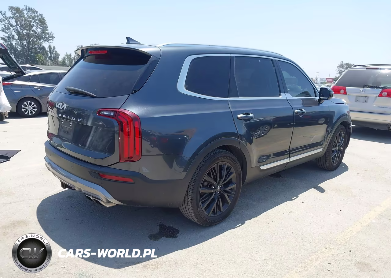 2022 Kia Telluride Sx VIN:5XYP5DHC4NG228025 - 4