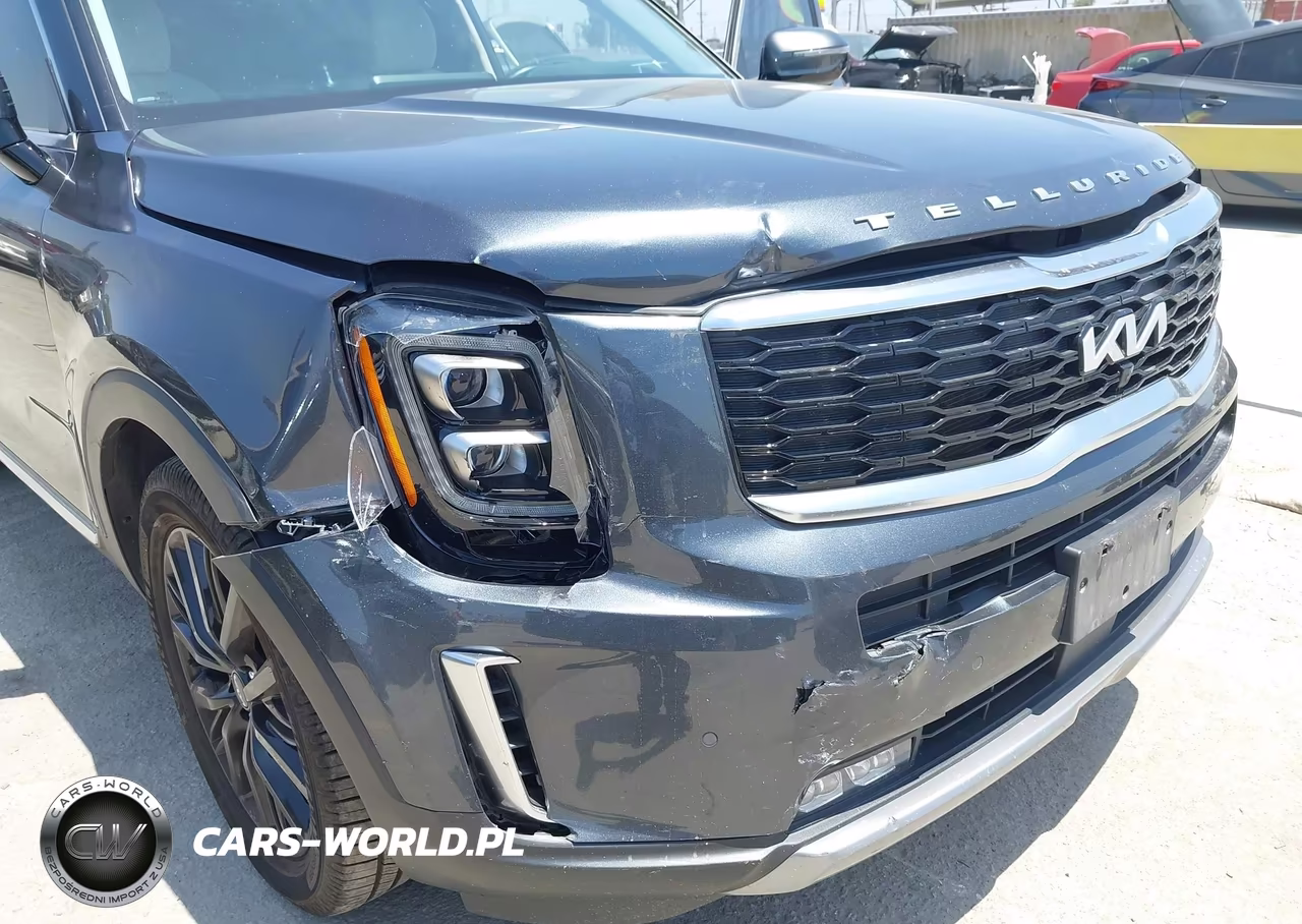2022 Kia Telluride Sx VIN:5XYP5DHC4NG228025 - 6