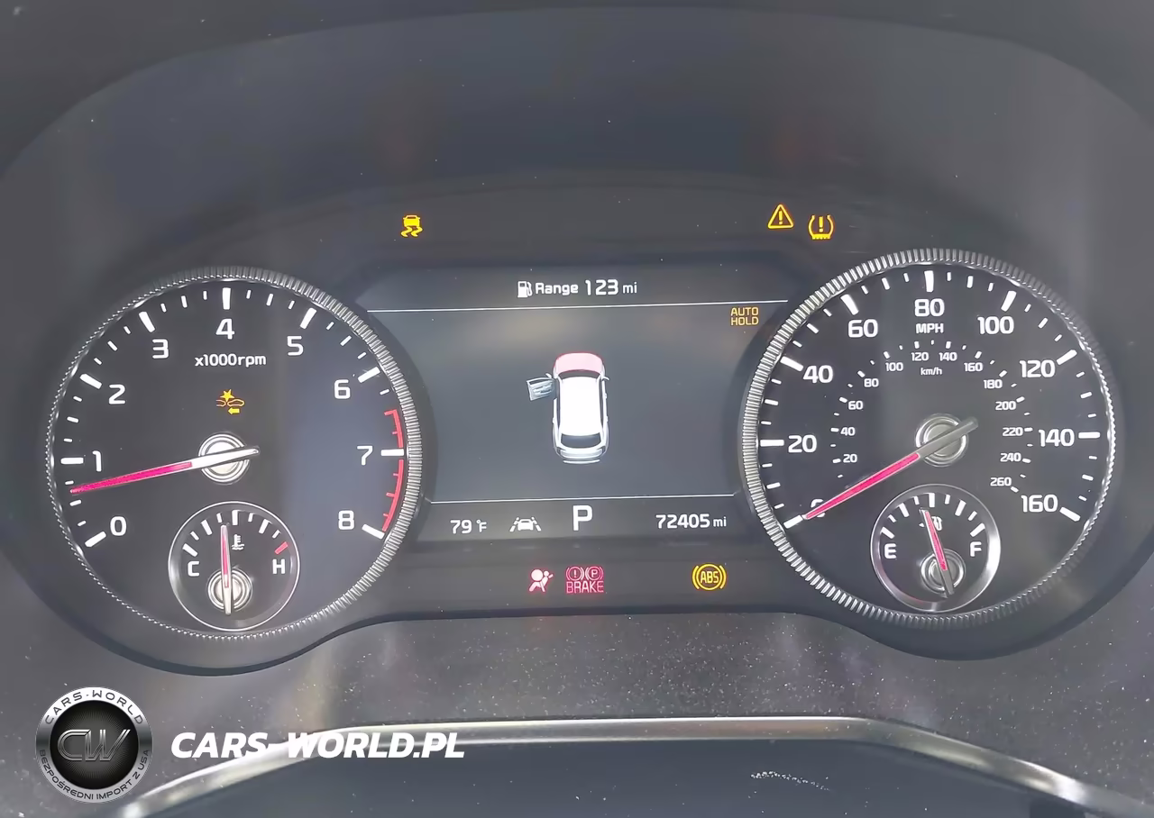 2022 Kia Telluride Sx VIN:5XYP5DHC4NG228025 - 7