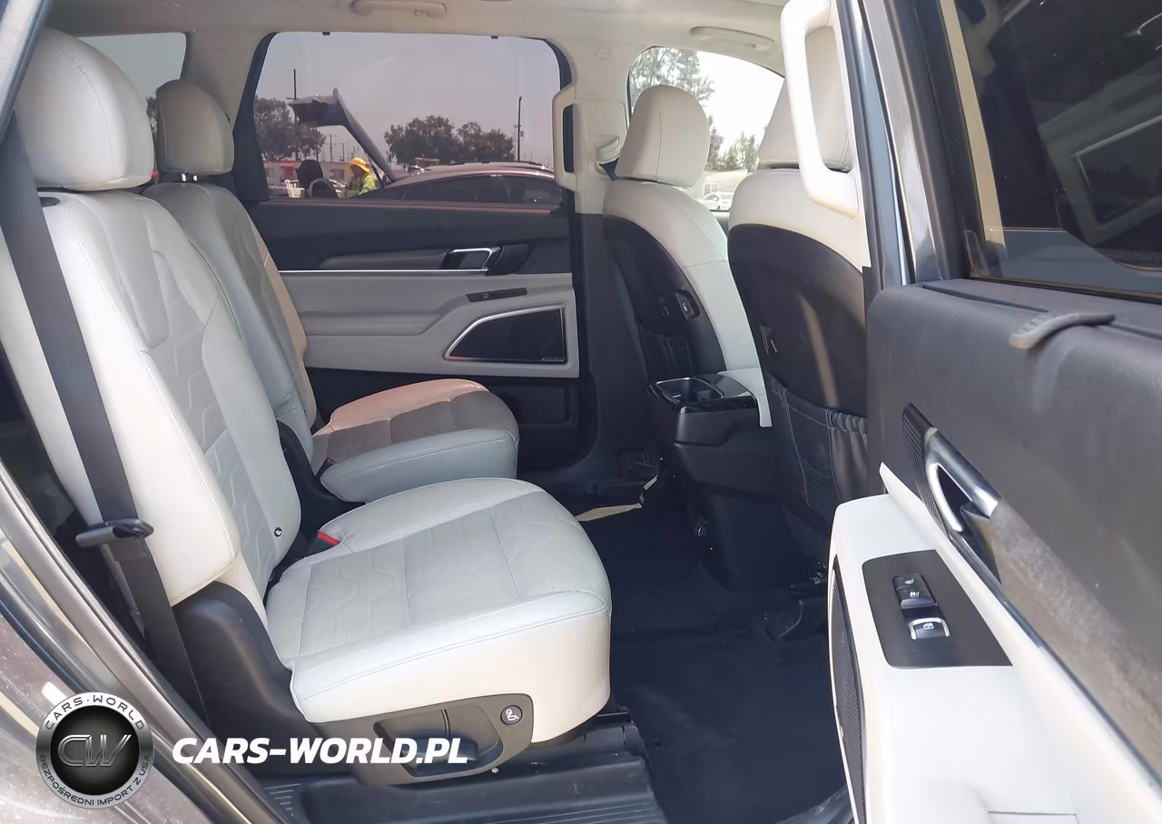 2022 Kia Telluride Sx VIN:5XYP5DHC4NG228025 - 8