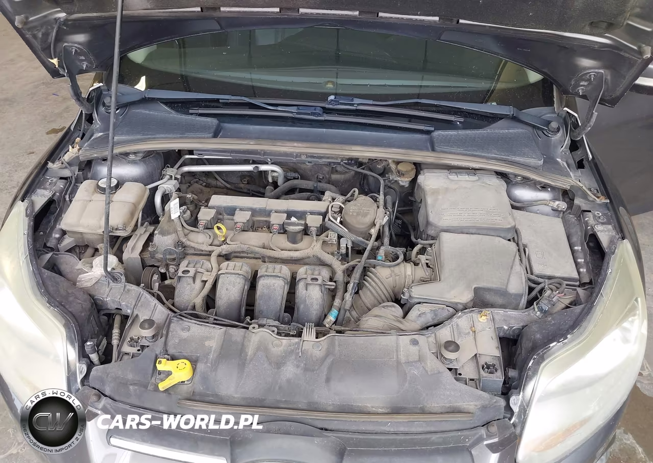 2013 Ford Focus Se VIN:1FADP3F29DL244876 - 10
