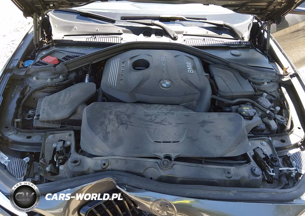 2020 BMW 230I xDrive VIN:WBA2J3C04L7E57232 - 10