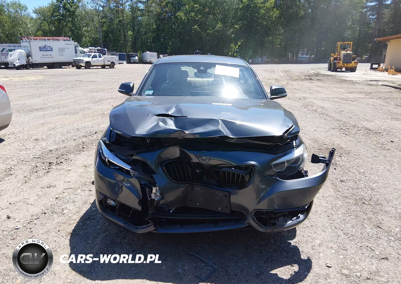 2020 BMW 230I xDrive VIN:WBA2J3C04L7E57232 - 12
