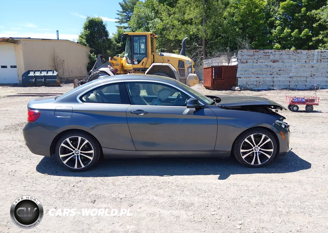 2020 BMW 230I xDrive VIN:WBA2J3C04L7E57232 - 13