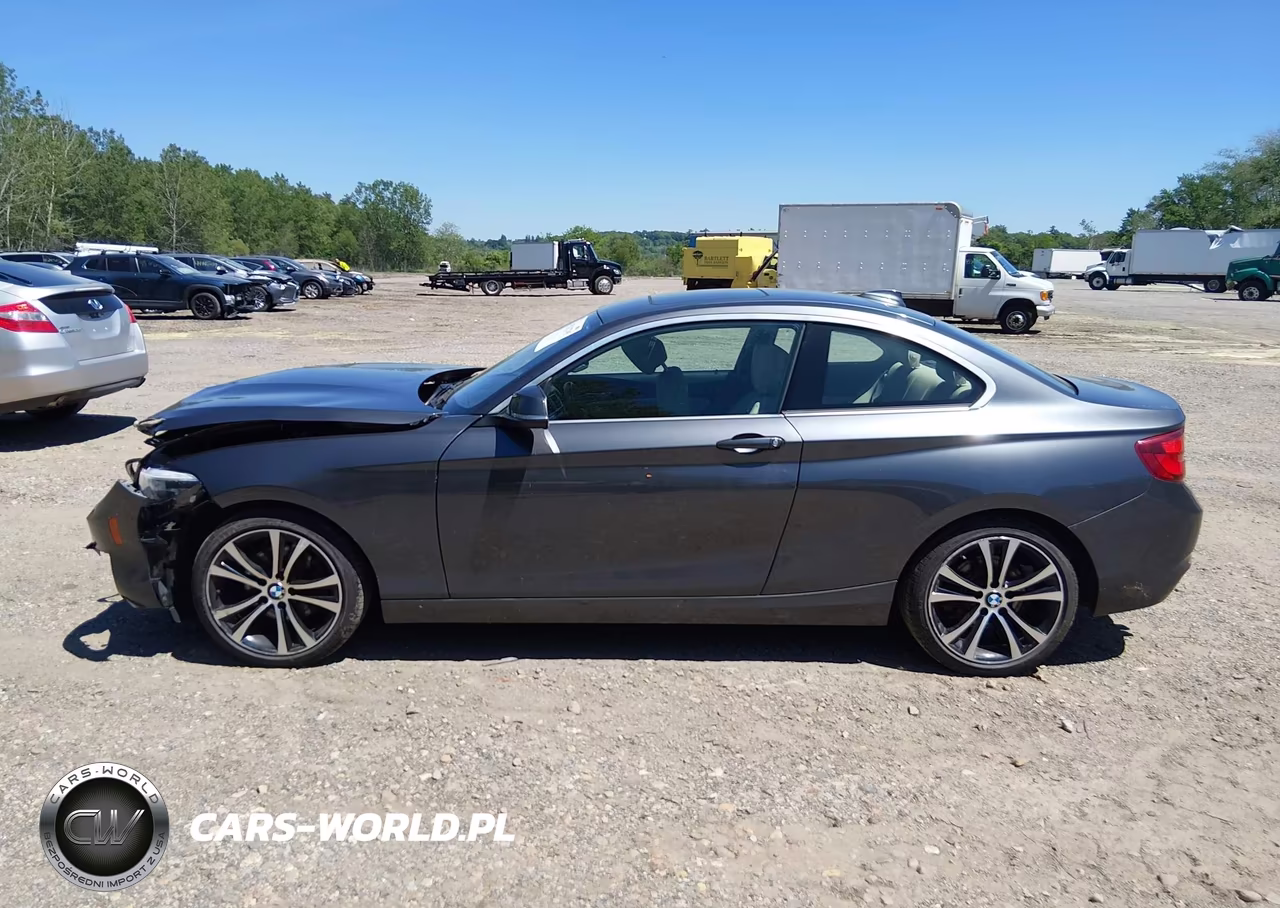 2020 BMW 230I xDrive VIN:WBA2J3C04L7E57232 - 14