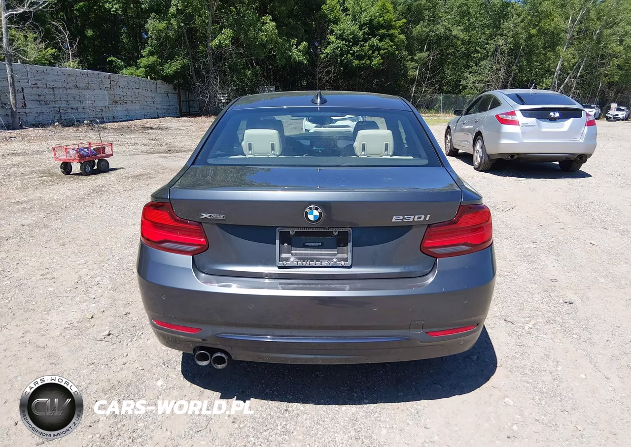 2020 BMW 230I xDrive VIN:WBA2J3C04L7E57232 - 16