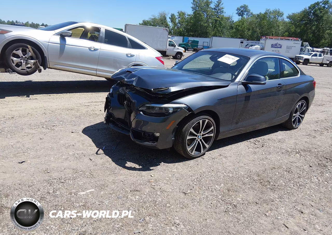 2020 BMW 230I xDrive VIN:WBA2J3C04L7E57232 - 2