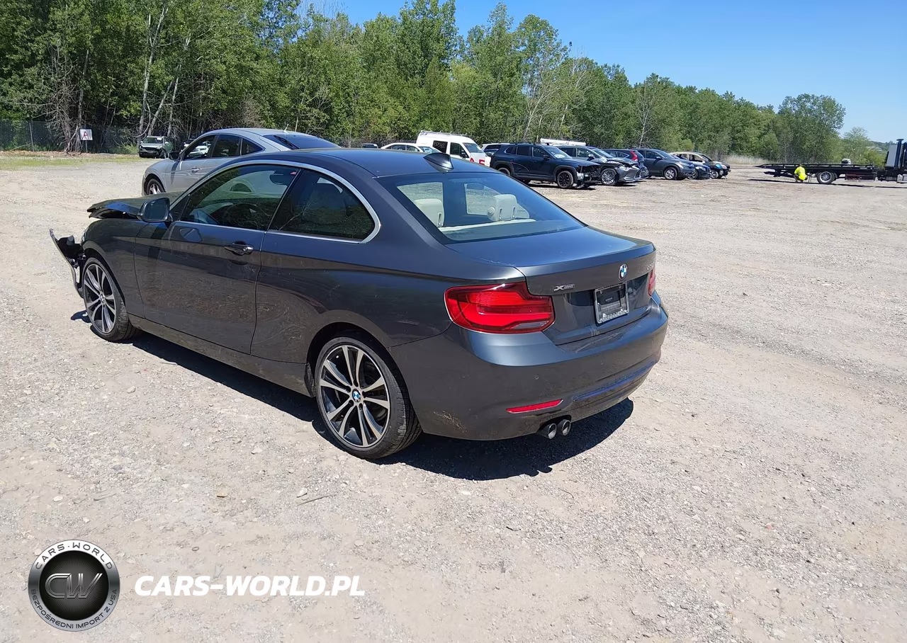 2020 BMW 230I xDrive VIN:WBA2J3C04L7E57232 - 3