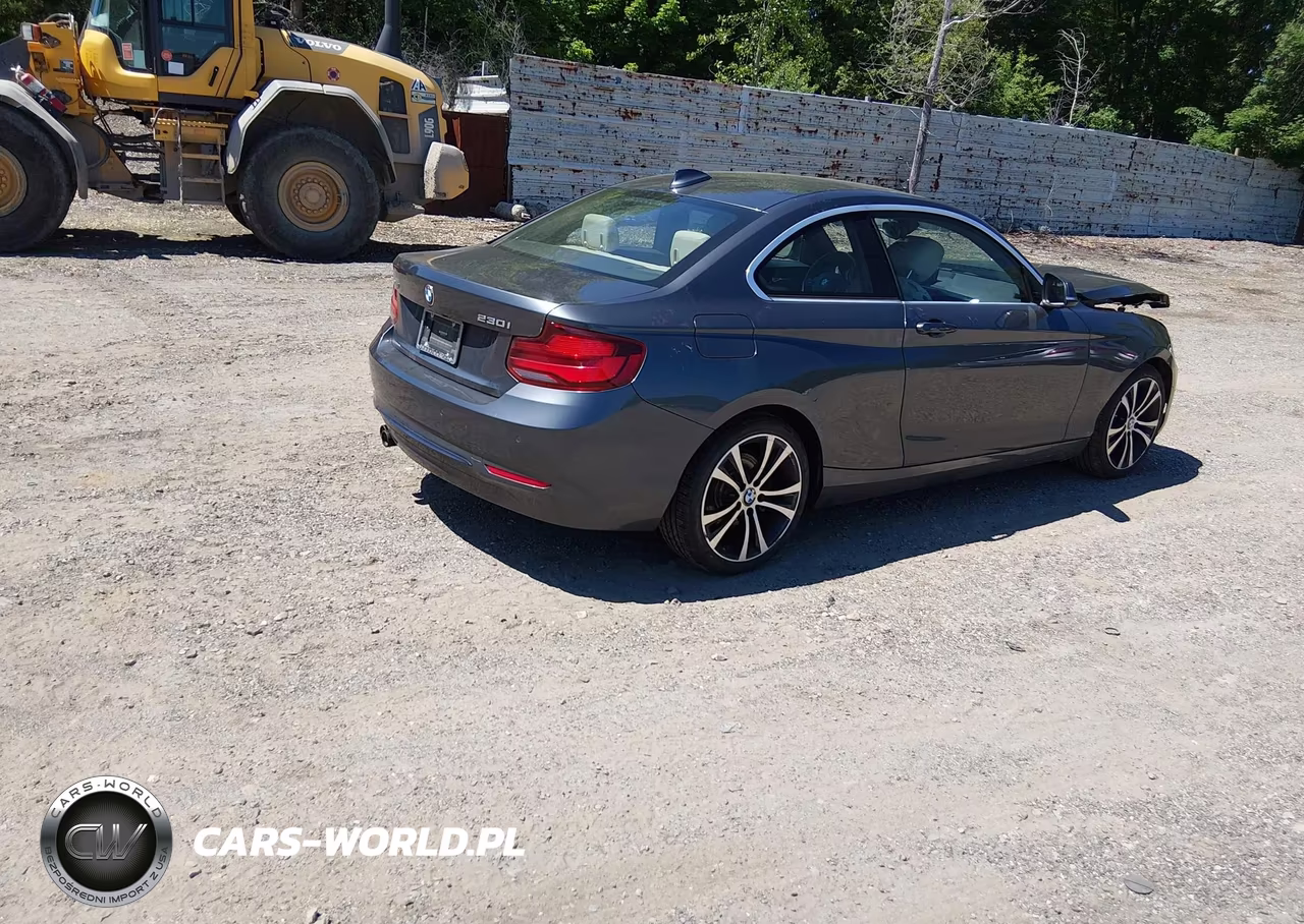 2020 BMW 230I xDrive VIN:WBA2J3C04L7E57232 - 4