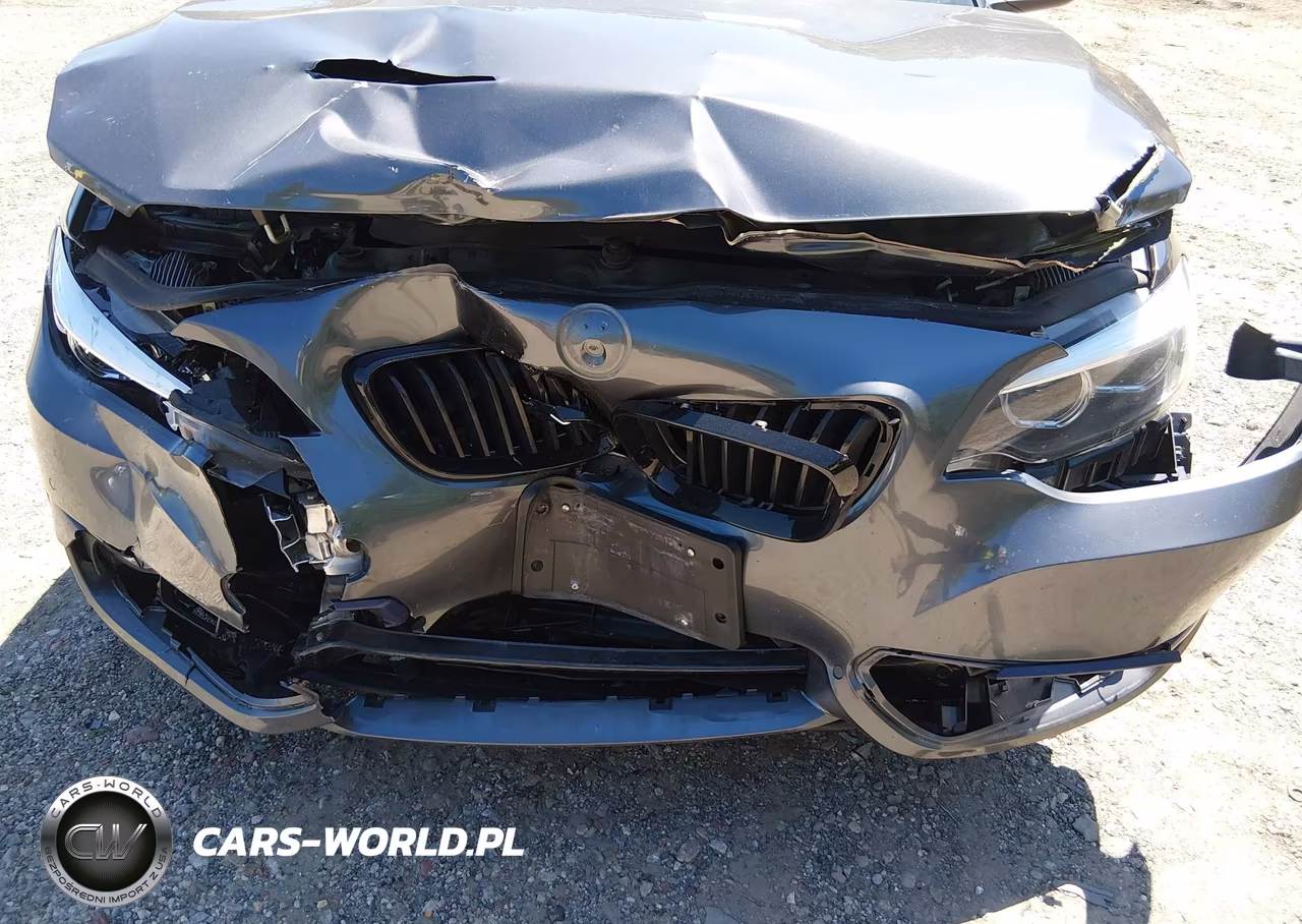 2020 BMW 230I xDrive VIN:WBA2J3C04L7E57232 - 6