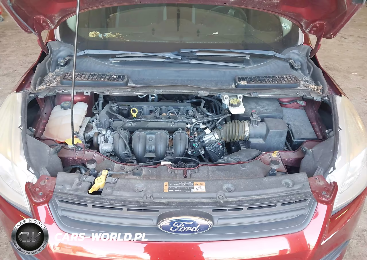 2014 Ford Escape S VIN:1FMCU0F72EUB60124 - 10
