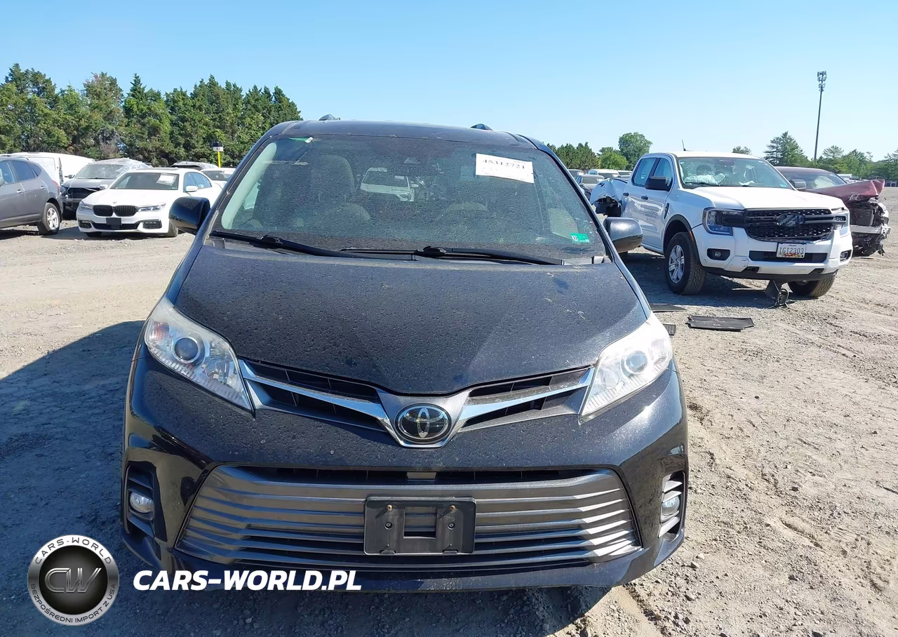 2020 Toyota Sienna Xle Premium VIN:5TDYZ3DC4LS048309 - 13