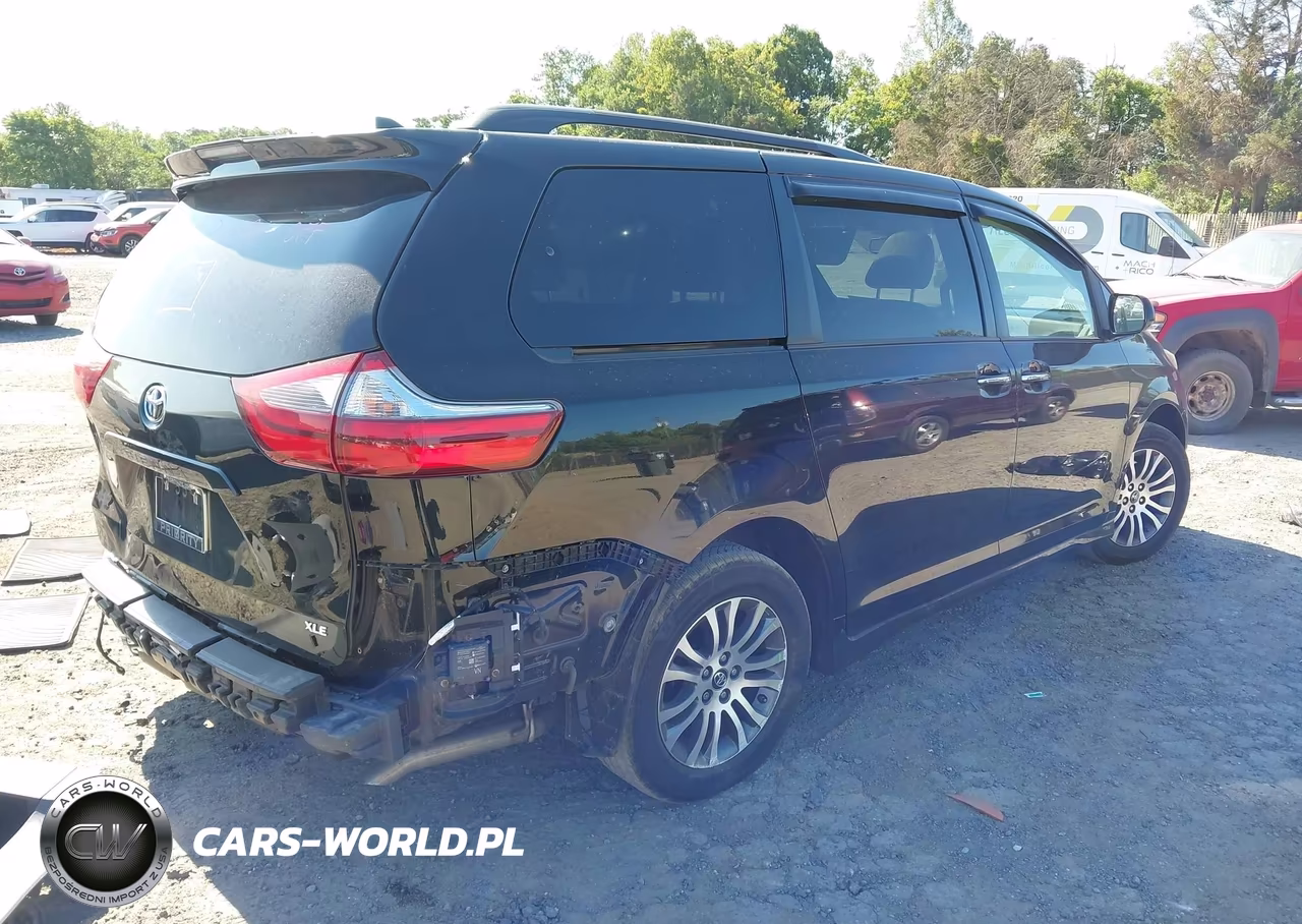 2020 Toyota Sienna Xle Premium VIN:5TDYZ3DC4LS048309 - 4