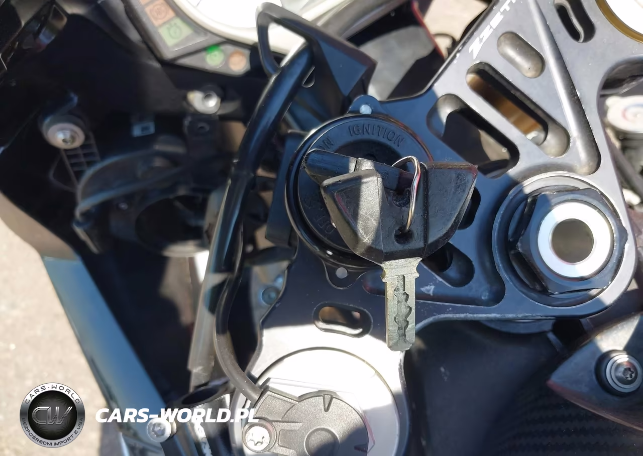 2017 BMW S 1000 Rr VIN:WB10D6000HZ709555 - 11