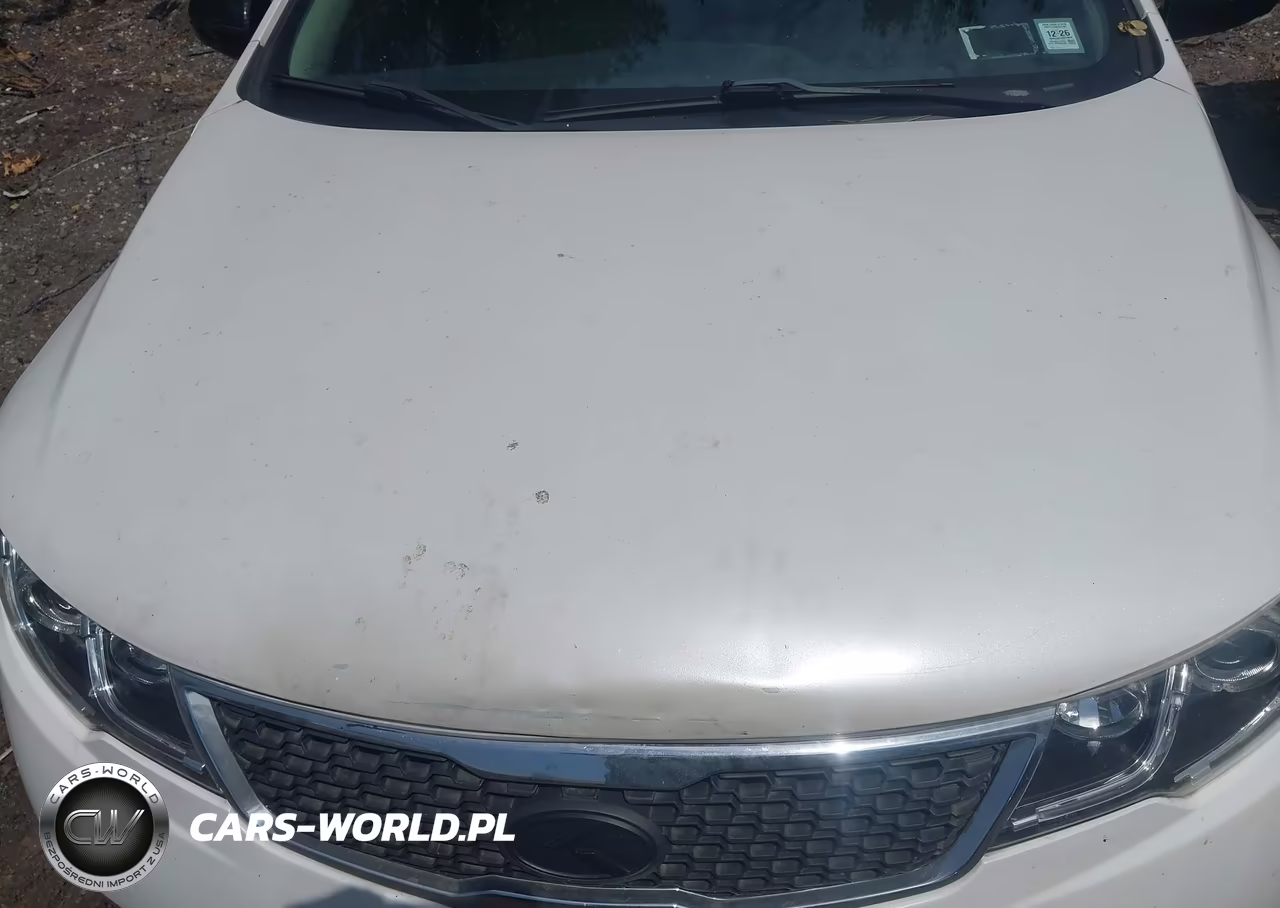 2013 Kia Forte Ex VIN:KNAFU4A21D5724839 - 10