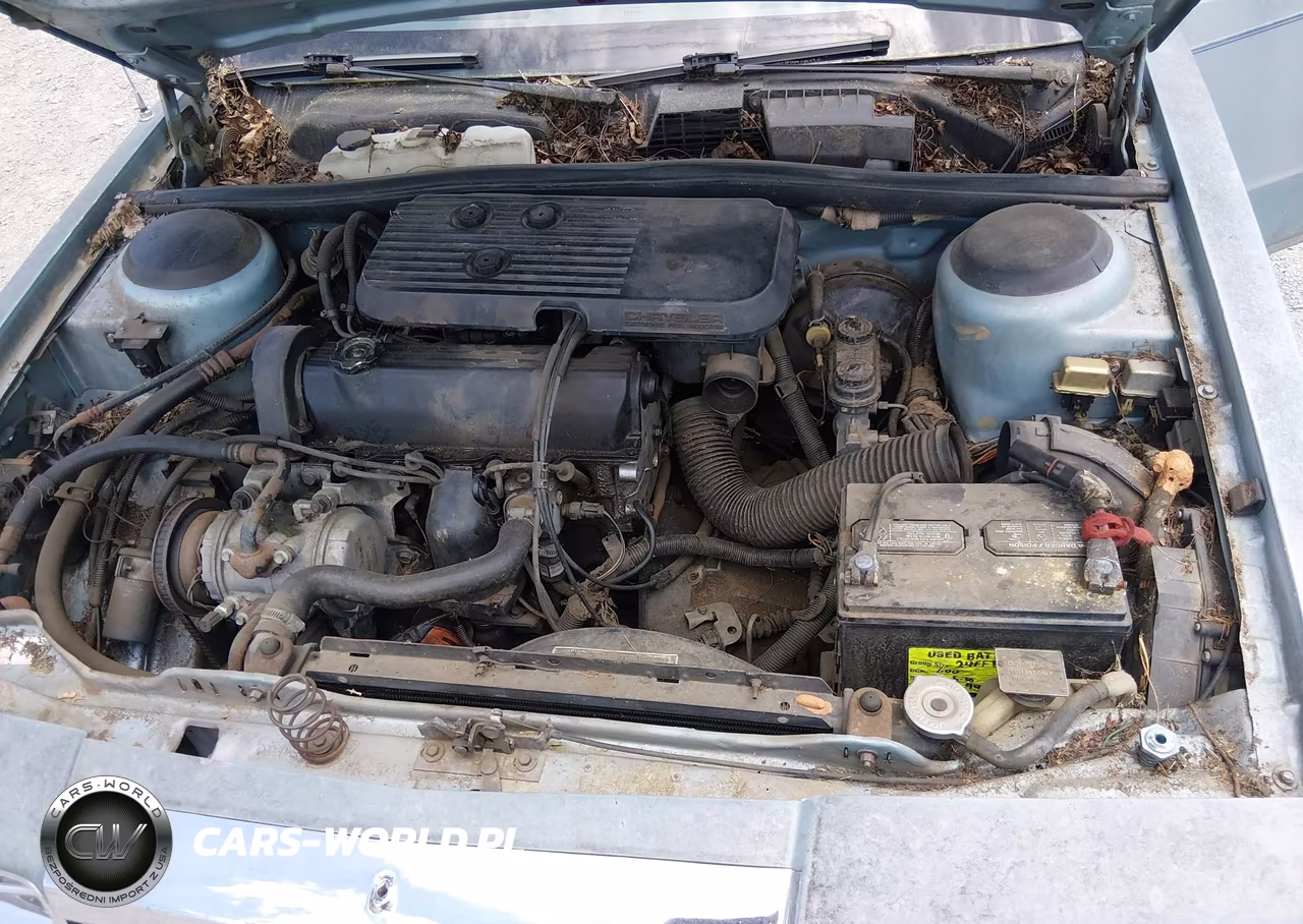 1988 Chrysler Lebaron VIN:1C3BC56K1JF132970 - 10