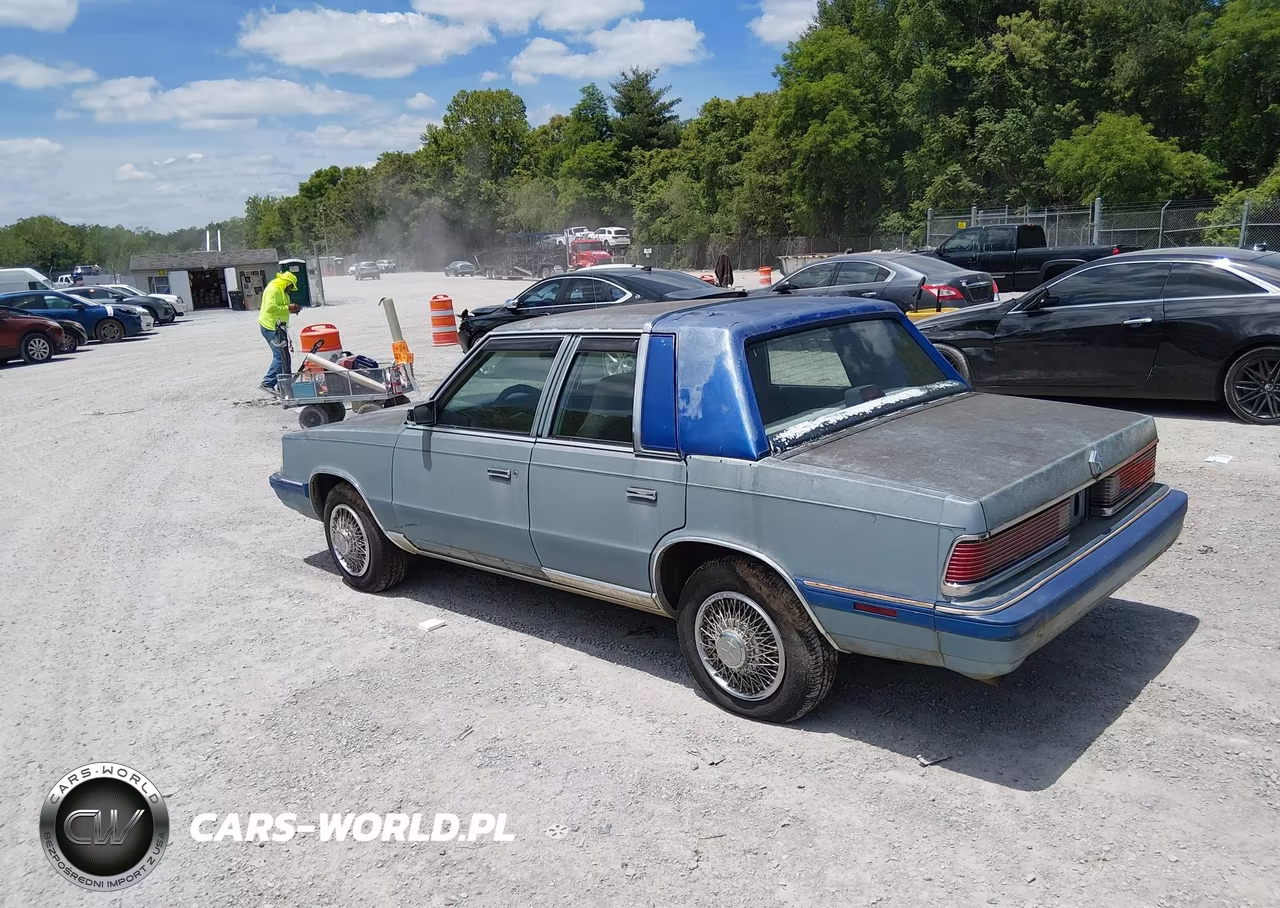 1988 Chrysler Lebaron VIN:1C3BC56K1JF132970 - 3
