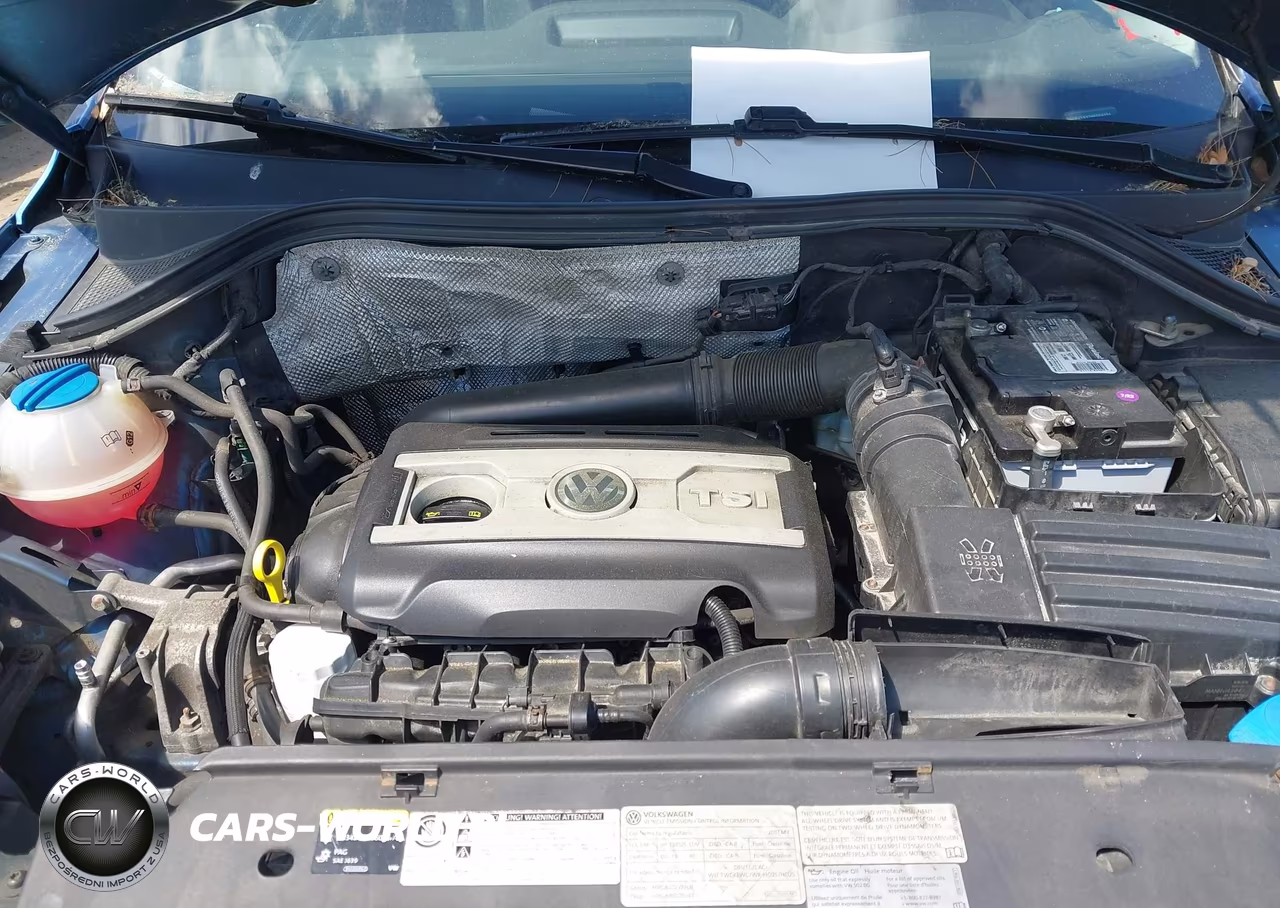 2017 Volkswagen Tiguan 2.0T-2.0T S VIN:WVGBV7AX2HK004254 - 10