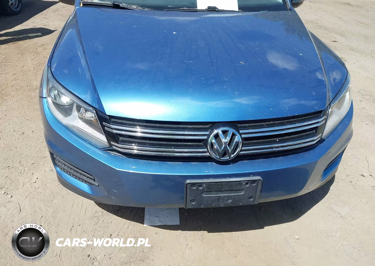 2017 Volkswagen Tiguan 2.0T-2.0T S VIN:WVGBV7AX2HK004254 - 13