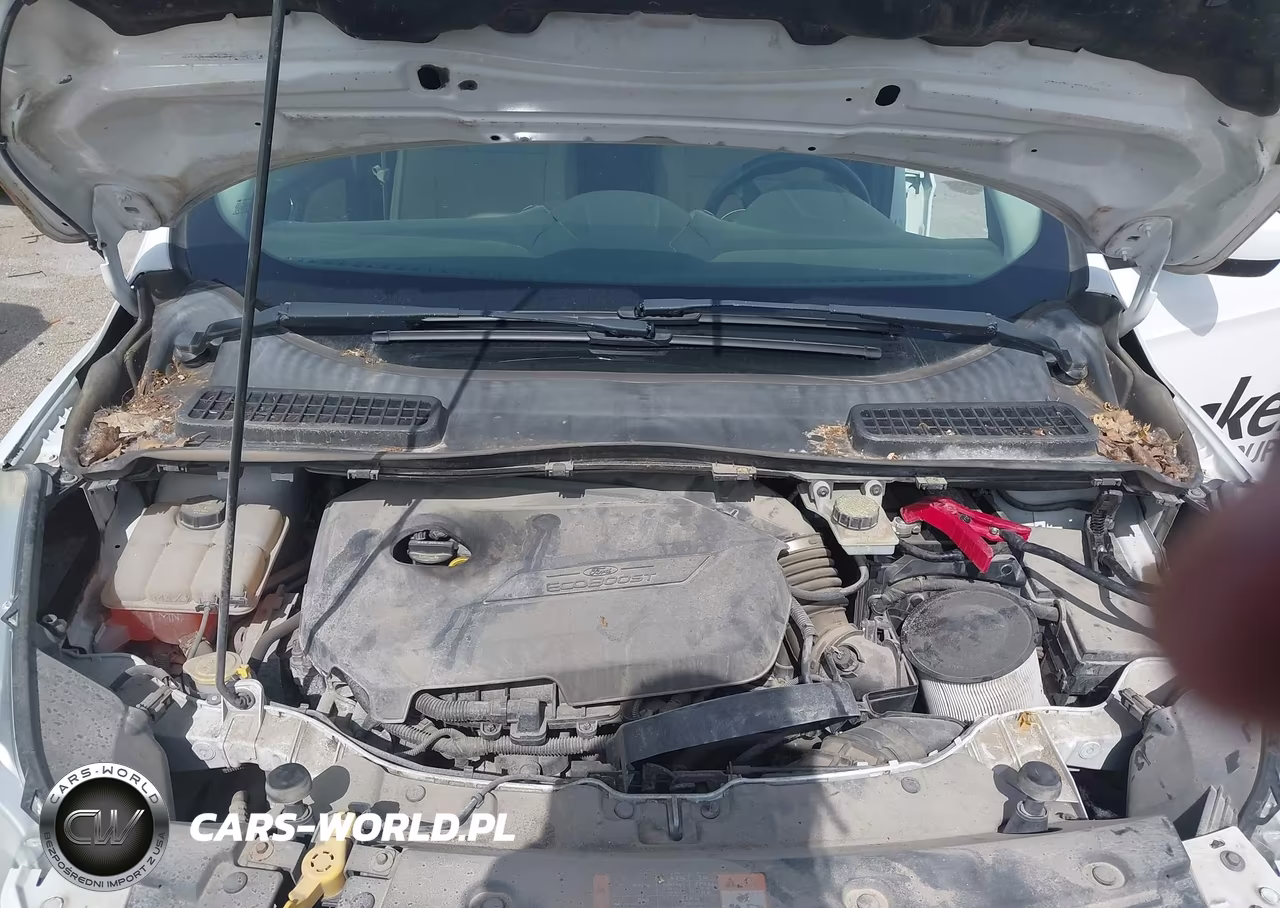 2015 Ford Escape Se VIN:1FMCU0GX1FUA25202 - 10